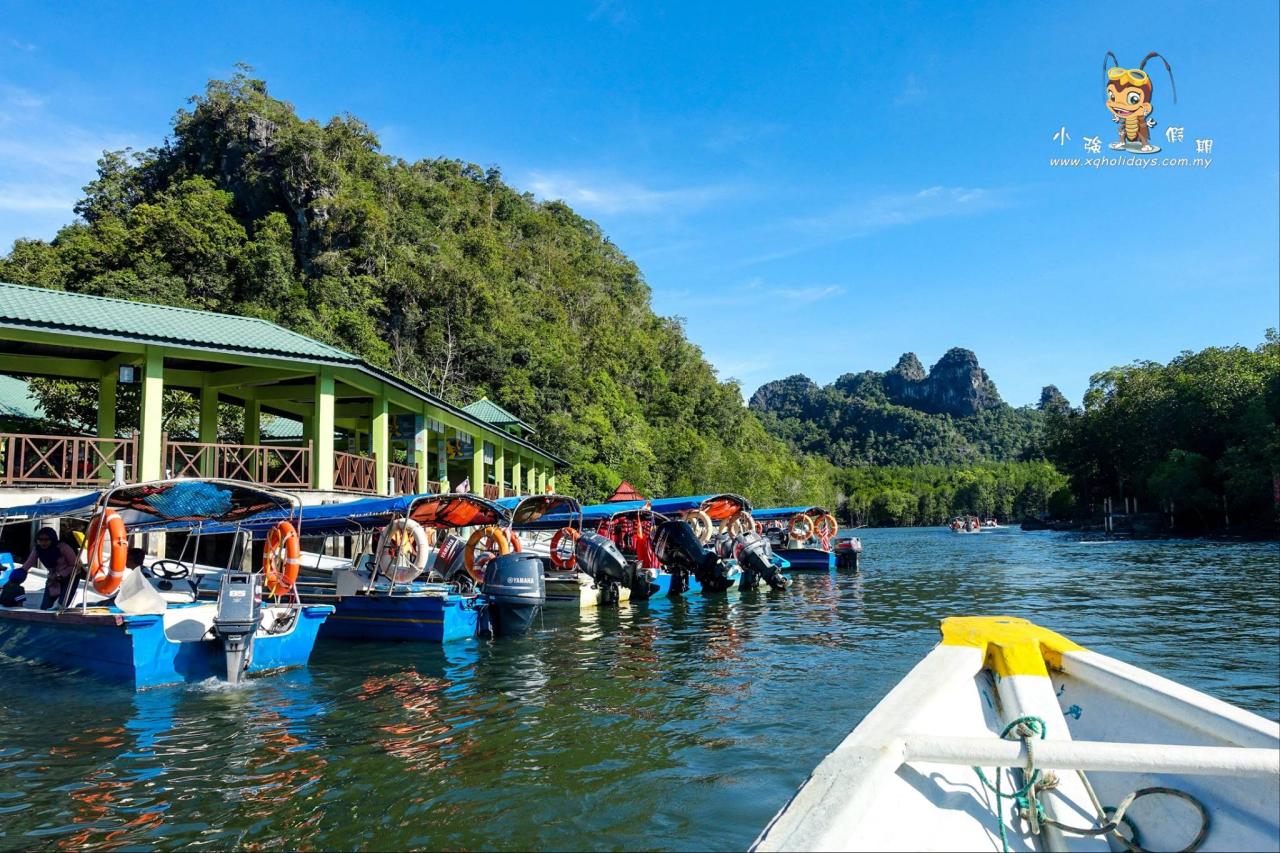 Jelajahi Keindahan Mangrove Langkawi dengan Tur Mangrove yang Tak Terlupakan